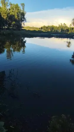 সাদা আকাশে মেঘের 