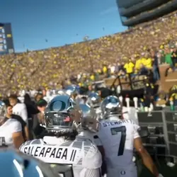 NFL edit