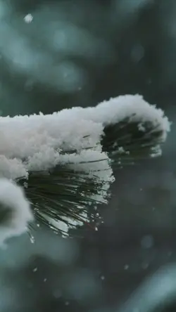 winter vlog