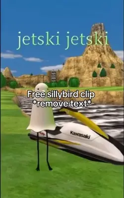 SILLYBIRD