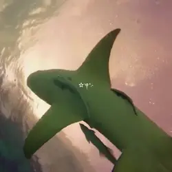 Sharkies :3