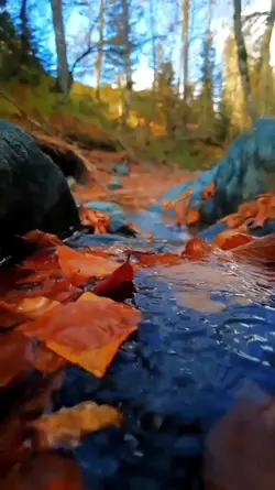 VLOG