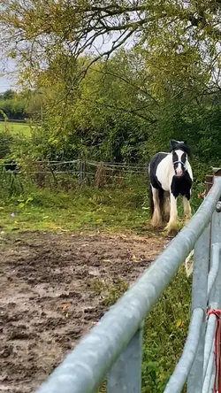 Diva 😍