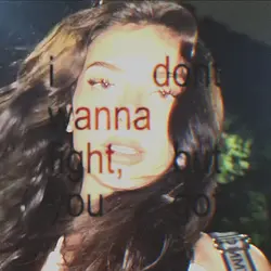 i don't wanna fight