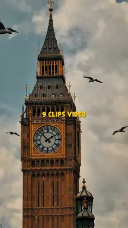 9 clips video