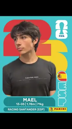World cup panini