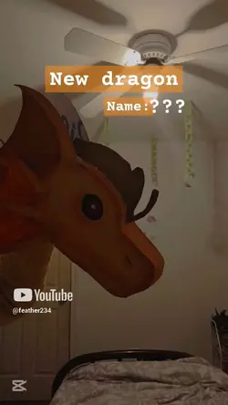 New dragon!! 