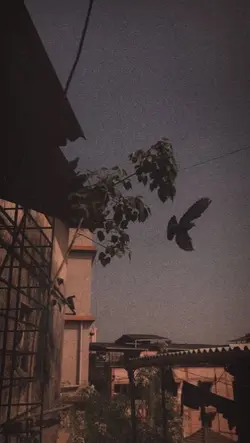 إلي ربي 