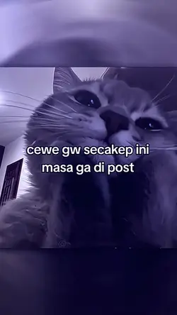 cewe gw secakep ini