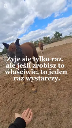 Wystarczy wam raz? 