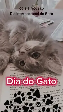 Dia do gato