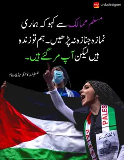 islamic videos 