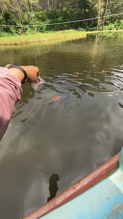 KATA-KATA