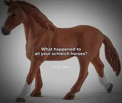 Schleich lead me 