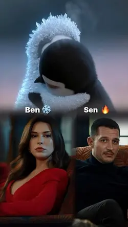 Sen ben akım 
