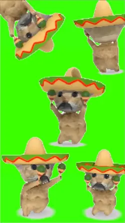 Mexican cat meme 