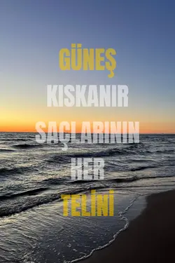 cümlelerim