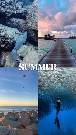 Summer Vibes