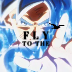 FLY