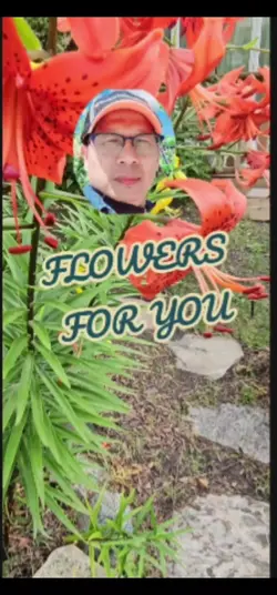 Flowers for you