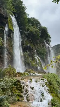 Natura
