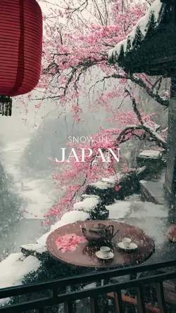 SNOW IN JAPAN 