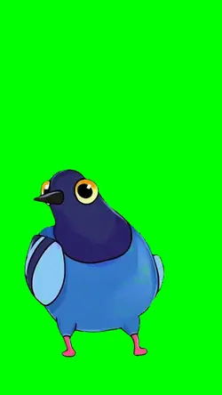 DANCING PIGEON MEME