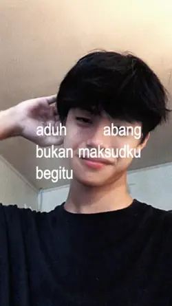 stecu stecu 