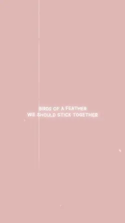 Birds of a feather