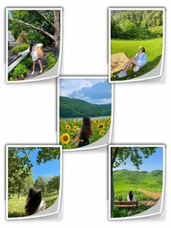 5Pic Clips Aesthetic