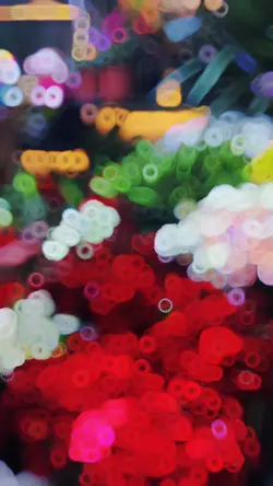 Slowmotion video ✨