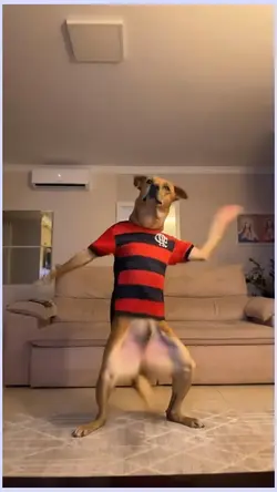 passinho do jamal