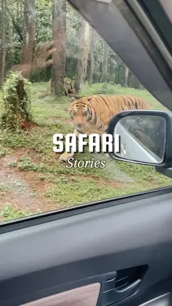 Safari stories