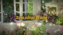 3pic nhạc Trug ngang