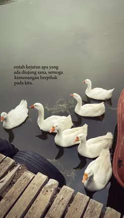 entah kejutan apa ya