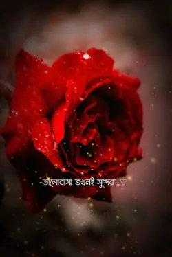ভালোবাসা তখনই সুন্দর
