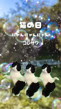にゃんにゃんにゃん/コレサワ
