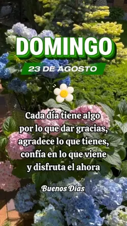 Domingo 23 de Agosto
