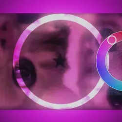 courir color wheel