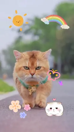 Cute Pet sticker