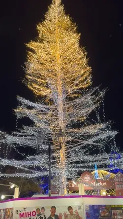 Christmas vibes