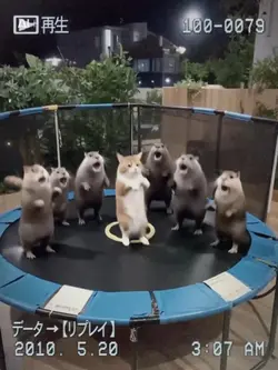 友達が遊んでくれることになったよ！