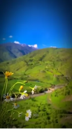 kurdistan dardê grân