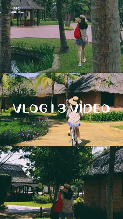 VLOG | 3 VIDEO