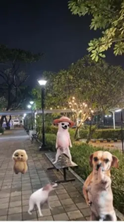 Dancing dog