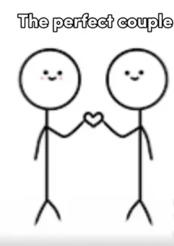 The perfect Couple