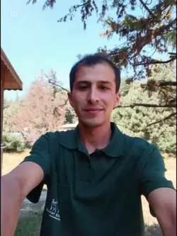 Yapay Zeka 