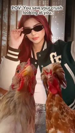 Gallinas Dance POV
