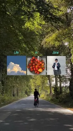 Life in June