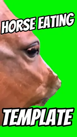 Horse Eating 